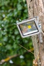 Gray diod spotlight on tree. Lighting equipment