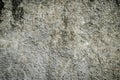 Gray Dirty Stucco Cement wall for texture background Royalty Free Stock Photo