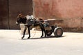 Gray donkey with a cart Royalty Free Stock Photo
