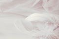 Gray draped tulle with feathers on white Royalty Free Stock Photo