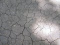 Gray dried land with cracks Royalty Free Stock Photo