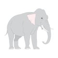 Gray elephant walks vector, white background