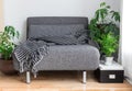 Gray fabric chair and plants in the living room