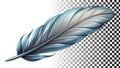 Gray feather, light, airy, delicate, soft texture, and gentle element png transparent image Generative AI