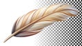Gray feather, light, airy, delicate, soft texture, and gentle element png transparent image Generative AI