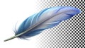 Gray feather, light, airy, delicate, soft texture, and gentle element png transparent image Generative AI