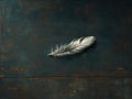 a gray feather rests on a textured dark surface, soft lighting creates a simple and serene still life