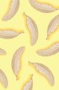 Gray feather on a yellow background arranged in a pattern. Royalty Free Stock Photo