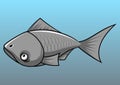 Gray fish