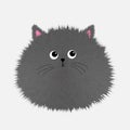 Gray fluffy cat icon. Face head body. Fat round kitten. Kawaii baby pet animal. Cute cartoon character. Happy Valentines day. Royalty Free Stock Photo