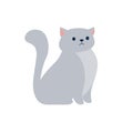 Gray fluffy cat. Vector illustration in a flat style on a white background Royalty Free Stock Photo