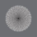 Gray Fluffy Hair Pom, 3D illustration on Gray Royalty Free Stock Photo