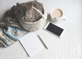 Gray fluffy kitten in a basket, cup of coffee and a phone on a white surface