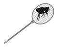 Gray fly swatter above a flea