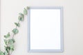 Gray frame and eucalyptus flower. Mininmalist mock up