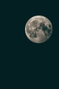 Gray full moon isolated on the black background, vertical