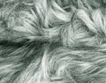 Gray fur texture fragment as a background Royalty Free Stock Photo