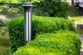 Gray garden iron lantern with white diffuser of street lighting in trimmed boxwood bushes. Royalty Free Stock Photo