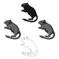 Gray gerbil.Animals single icon in cartoon,black style vector symbol stock illustration web.