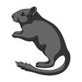 Gray gerbil.Animals single icon in cartoon style vector symbol stock illustration web.