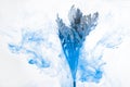 Flower water blue background white inside under paints acrylic smoke streaks grass sea haze blur underwater world planet