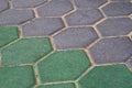 Gray and green cement block pavement Royalty Free Stock Photo