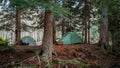 Gray and green tents set up in the forest under the pine trees. Trekking tent during the hike.