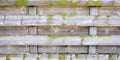 Gray green wooden background wood pine plank old grung boards pattern texture