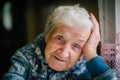 Elderly woman portrait looking at the camera. Royalty Free Stock Photo