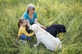 Gray-haired grandmother and cute little granddaughter are walking their dogs together in the park Royalty Free Stock Photo