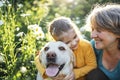 Gray-haired grandmother and cute little granddaughter are walking their dogs together in the park