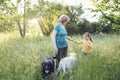 Gray-haired grandmother and cute little granddaughter are walking their dogs together in the park