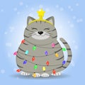 A gray-haired gray cat in a strip is sitting, a star on his head is dressed in a garland from a Christmas tree.