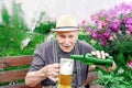 old man pours beer from a bottle into a beer glass. Royalty Free Stock Photo