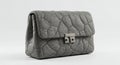 Gray handbag with a pebble-like textured surface. Rectangular shape features a metal Royalty Free Stock Photo
