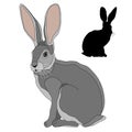 Gray hare realistic set of black silhouette