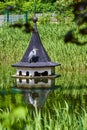 Gray heron Ardea cinerea sitting in a Berlin park pond on the roof of a bird house looking for fish Royalty Free Stock Photo