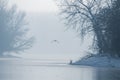 Gray heron flying over a frozen lake, Winter frozen lake Royalty Free Stock Photo