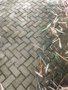 Gray herringbone paving block pattern with fallen dry bamboo leaves Royalty Free Stock Photo