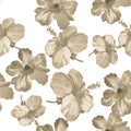 Gray Hibiscus Background. Brown Flower Background. Colorless Seamless Background. Vintage Design. Pattern Plant. Watercolor Leaf.