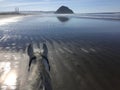 Gray horse on beach with view of Morro Rock in Morro Bay, California at low tide on Christmas Eve 2018