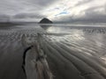 Gray horse on beach with view of Morro Rock in Morro Bay, California at low tide with seagulls 2019