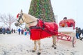 a gray horse harnessed to a cart stands at the New Year tree