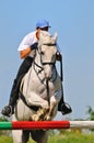 Gray horse and rider over a jump Royalty Free Stock Photo
