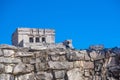 Gray iguana sitting on the stone wall of Mayan Ruins of The Castle in Tulum, Riviera Maya, Yucatan, Caribbean Sea, Mexico Royalty Free Stock Photo