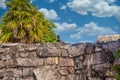 Gray iguana sitting on the stone wall of Mayan Ruins of The Castle in Tulum, Riviera Maya, Yucatan, Caribbean Sea, Mexico Royalty Free Stock Photo