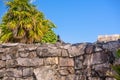 Gray iguana sitting on the stone wall of Mayan Ruins of The Castle in Tulum, Riviera Maya, Yucatan, Caribbean Sea, Mexico Royalty Free Stock Photo