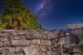 Gray iguana sitting on the stone wall of Mayan Ruins of The Castle in Tulum, Riviera Maya, Yucatan, Caribbean Sea, Mexico with Royalty Free Stock Photo