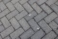 Gray interlocking concrete pavement bricks creating herringbone pattern Royalty Free Stock Photo