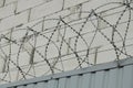 Gray iron barbed wire on metal fence